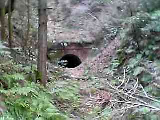 トンネル発見